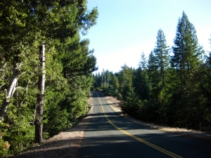 15-mile road hike on Philo-Greenwood Road