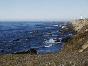 Stornetta Public Lands with view of Point Arena Lighthouse